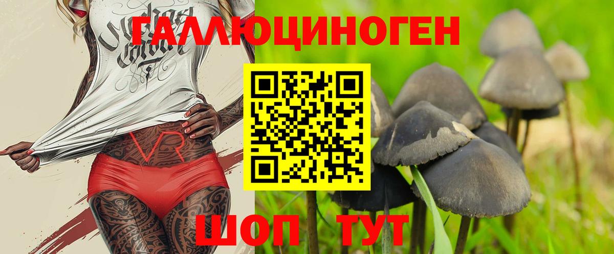 Псилоцибиновые грибы MAGIC MUSHROOMS  Вход с VPN  Морозовск 